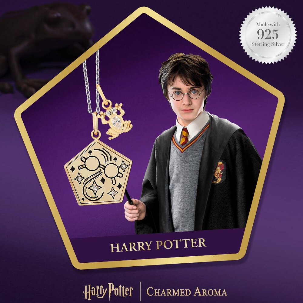 Harry Potter Chocolate Frog Card necklace, 925 Sterling Silver Charmed Aroma